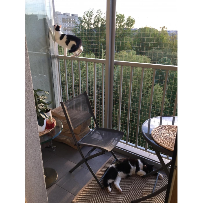 Czarna siatka dla kota na balkon "Bezpieczne koty". Oczko 50x50mm. Na wymiar. 