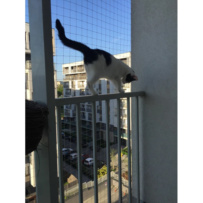 Czarna siatka dla kota na balkon "Bezpieczne koty". Oczko 50x50mm. Na wymiar. 