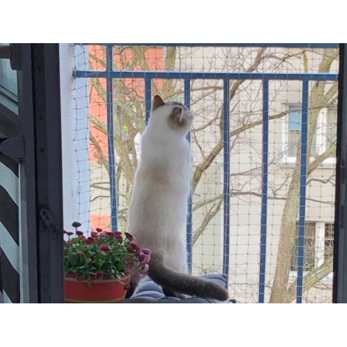 Biała siatka dla kota na balkon "Bezpieczne koty". Oczko 50x50mm. Na wymiar. 