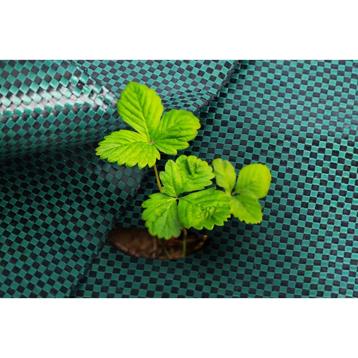 Agrotkanina 110g zielona 1,6x50 Premium. Agrowłóknina na chwasty UV 3% o wysokim standardzie wykonania.