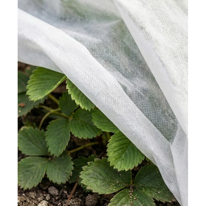 Agrowłóknina biała 1,6x100 zimowa 70g gruba otulina okryciowa Supreme.