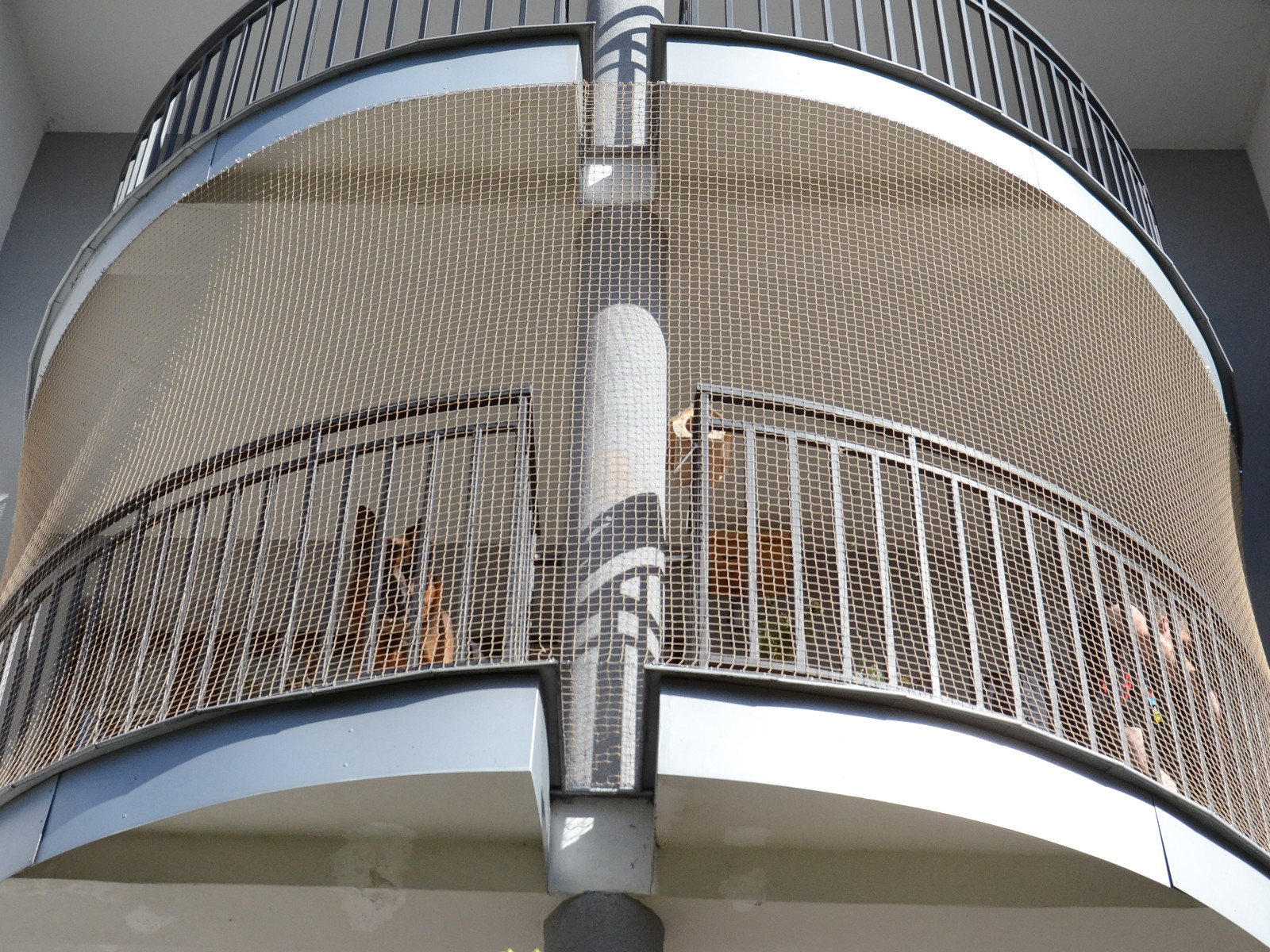 siatka zabezpieczająca na balkon dla kota 