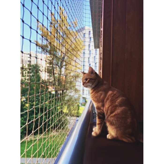 Siatka ochronna na balkon dla kota oczko 50x50mm Siatka przeciw ptakom 3 m x 2 m