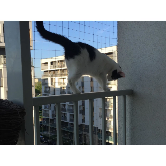 Siatka ochronna dla kota na balkon przeciw ptakom Oczka 28x28mm. Rolka 5m x 3m
