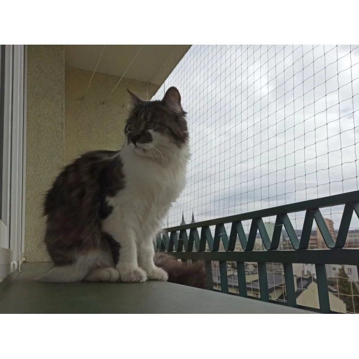 Zestaw siatka na balkon 8x2 dla kota bez wiercenia. Kocia siatka oczko 50x50mm. Bezpieczne Koty.