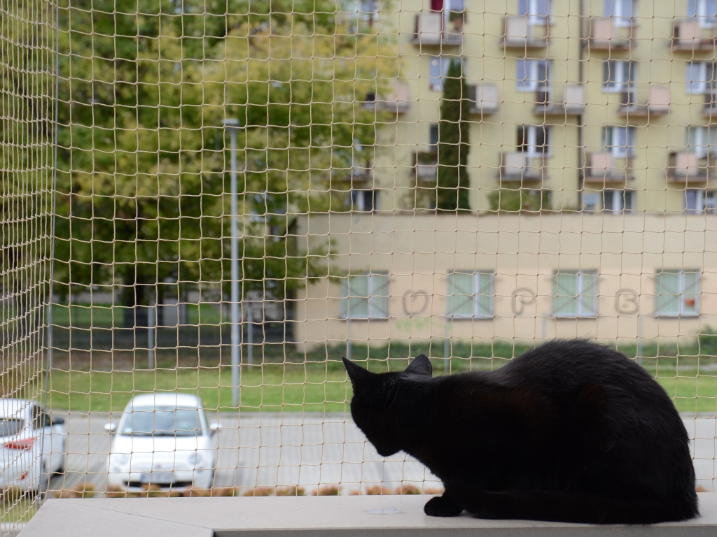 Siatka dla kota z drucikiem na balkon "Bezpieczne koty". Oczka 30x30mm. Na wymiar. 