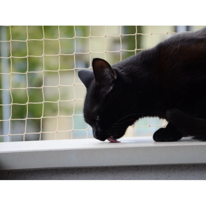 Zestaw siatka na balkon 5x2 dla kota bez wiercenia. Kocia siatka oczko 50x50mm. Bezpieczne Koty.