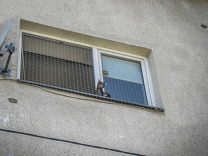 Drobna siatka dla kota na balkon Bezpieczne Koty. Oczka 19x19 mm. Na wymiar.
