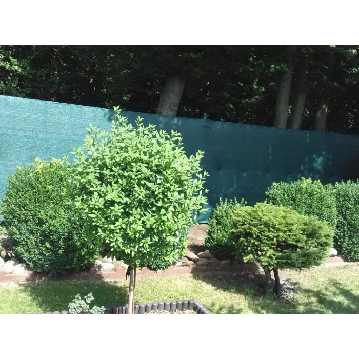 Siatka cieniująca 90% 1,2x25m. Gramatura 140g/m2. Zielono-czarna kolorystyka. Mata maskująca na ogrodzenie z UV. Linarem SiatkiSieci. 