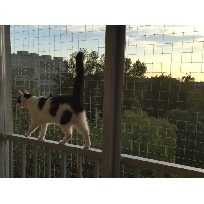 Zestaw siatka na balkon 5x3 dla kota bez wiercenia. Kocia siatka oczko 50x50mm. Bezpieczne Koty.