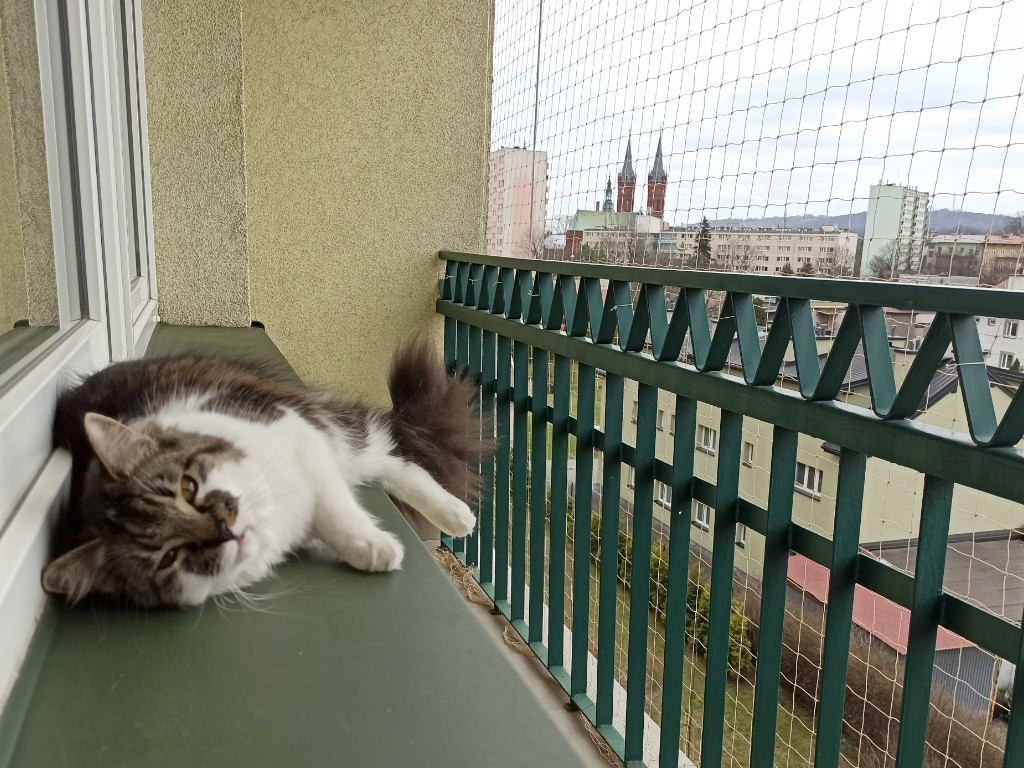 Zestaw siatka dla kota na gołębie na balkon 4x2m. Oczko 50mm