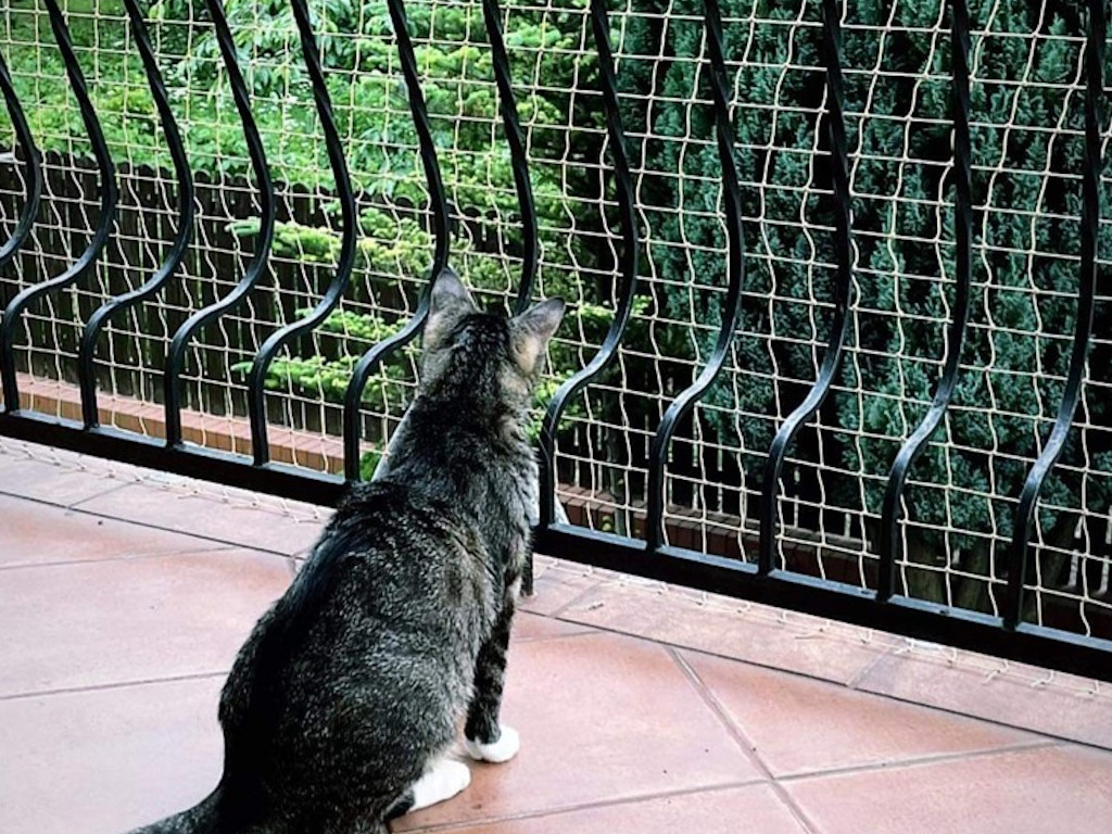 Zestaw siatka dla kota na gołębie na balkon do 10m2. Oczko 50mm