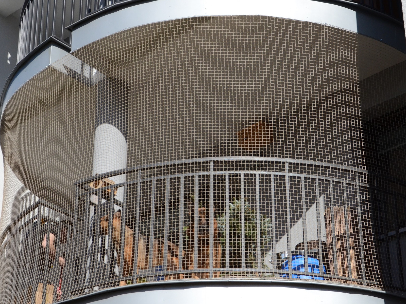 Siatka dla kota przeciw ptakom na balkon 28 mm. Zestaw montażowy 6m x 3m bez wiercenia.
