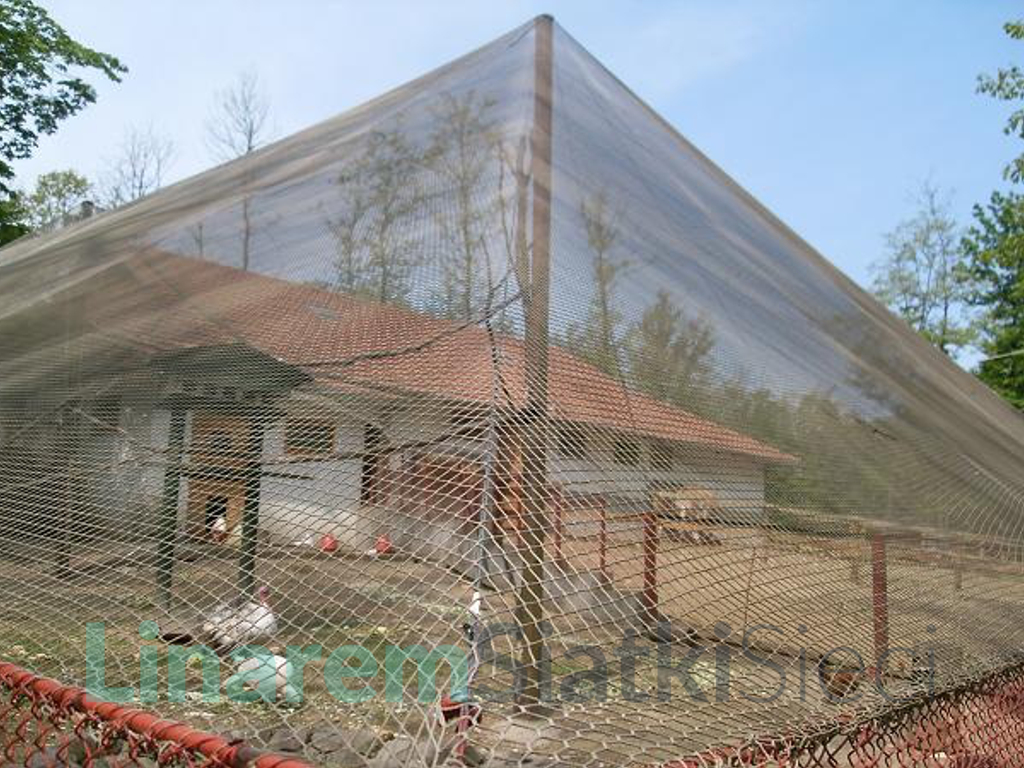 рабица от птиц. сетка для вольеров и птичников. сетка от хищных птиц. ловушка для ястреба перепелятника. американский ястреб.