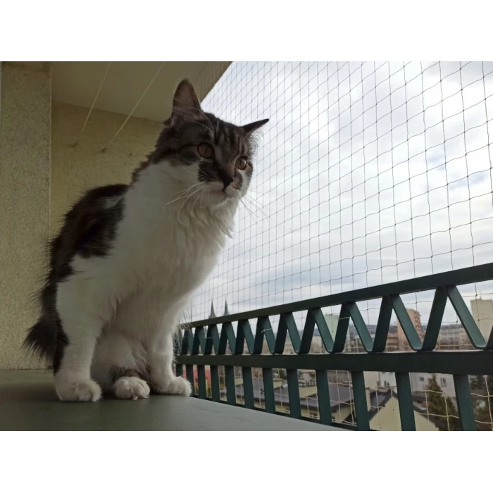 Zestaw siatka na balkon 2x3 dla kota bez wiercenia. Kocia siatka oczko 50x50mm. Bezpieczne Koty.