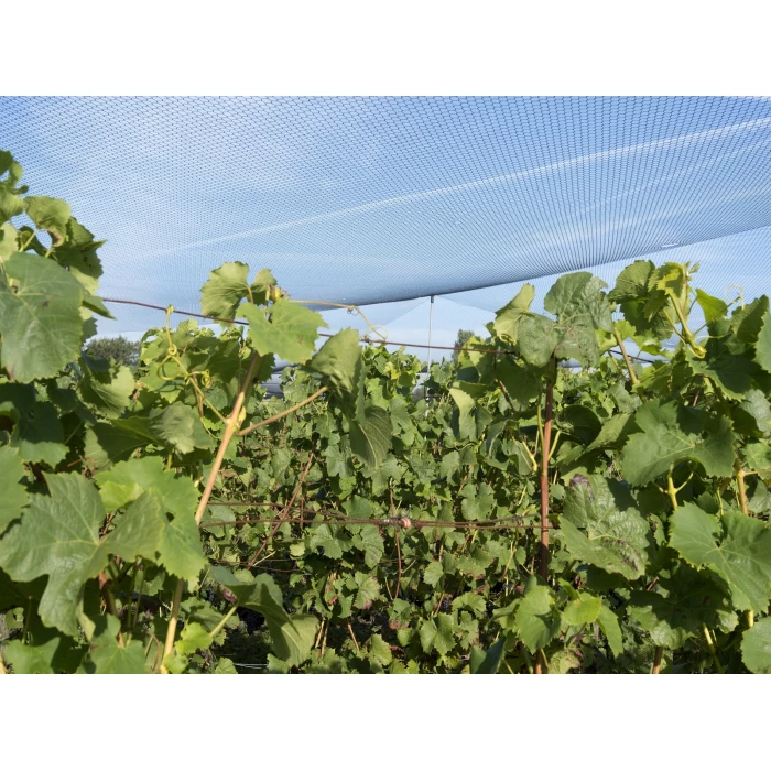 Pleciona siatka ochronna na winogrona plantacje winorośli oko 27 mm Gramatura 23g/m2