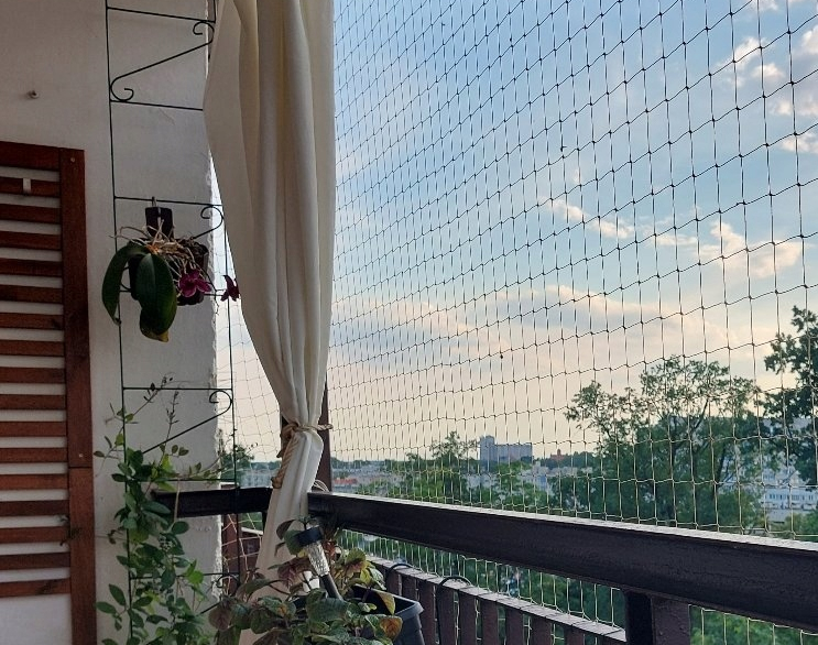 siatka balkonowa na balkon przeciw ptakom przeciw gołębiom