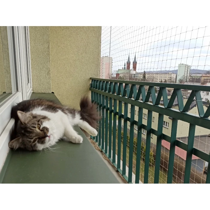 Zestaw siatka na balkon 4x3 dla kota bez wiercenia. Kocia siatka oczko 50x50mm. Bezpieczne Koty.